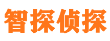 海兴市私家侦探